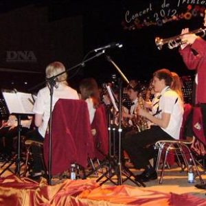 les-comedies-musicales-enchante-melomanes