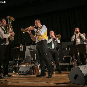 vlado-musiciens-sur-scene