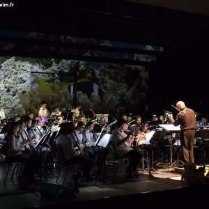 walt-disney-enchante